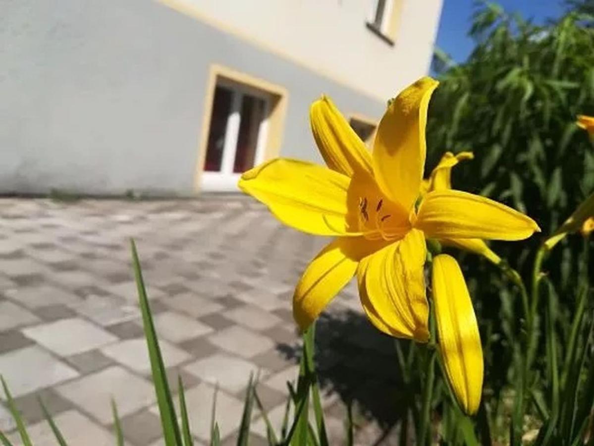 Ferienwohnung Haus am Apfelbaum Bad Säckingen Exterior foto