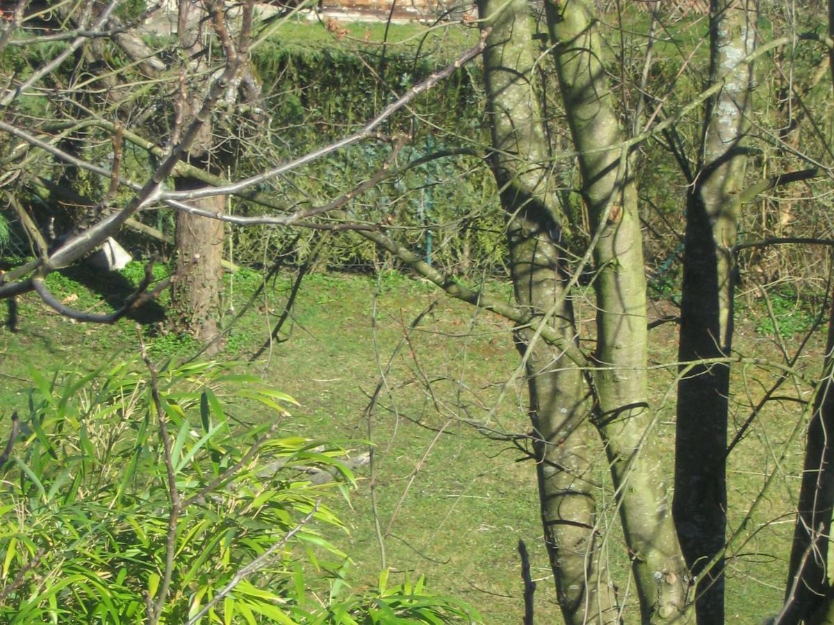 Ferienwohnung Haus am Apfelbaum Bad Säckingen Exterior foto